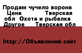 Продам чучело ворона › Цена ­ 9 000 - Тверская обл. Охота и рыбалка » Другое   . Тверская обл.